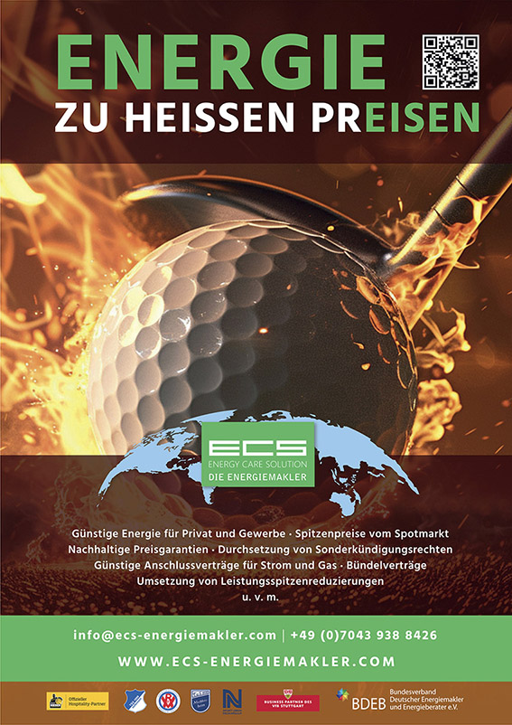 www.ecs-energiemakler.com